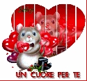 camnuzz