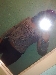 stellina_pazza su ContattiMSG.com