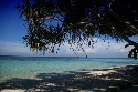 Foto Album 1579 di Crysis91 - 