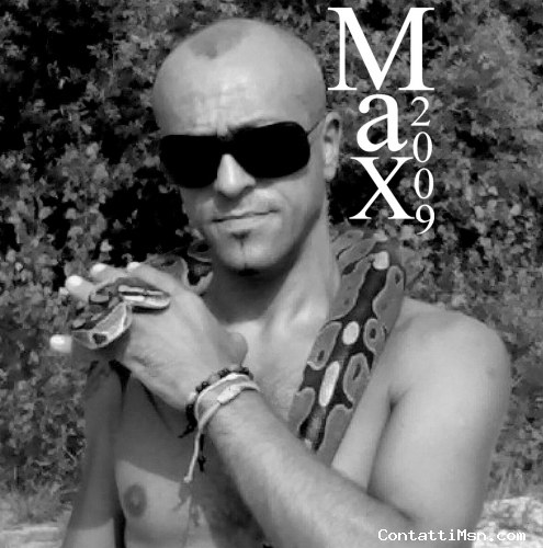 maxsnake - Torino