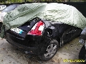 Foto Album 111711 di freddie76 - 