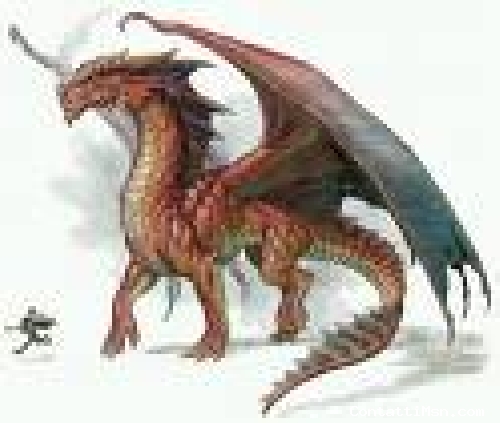 dragonenero - Cuneo