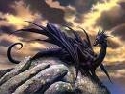 Foto Album 1182322 di dragonenero - 