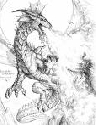 Foto Album 1182322 di dragonenero - 