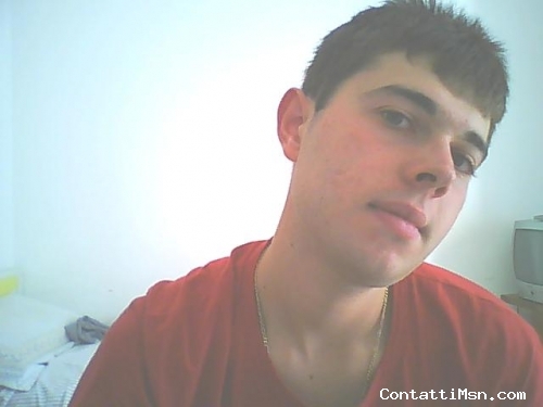 domee - Ascoli Piceno