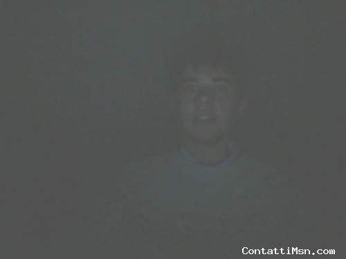 domee - Ascoli Piceno