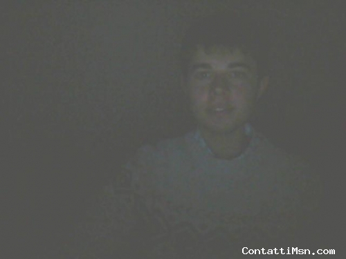 domee - Ascoli Piceno