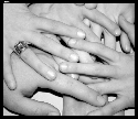Foto Album 1314112 di raffaela - 