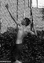 Foto Album 143982 di The-Lover - 