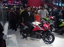 Foto Album 1487212 di aleduro - 