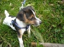 Foto Album 1520272 di tom_hagen - 
