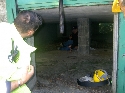 Foto Album 165332 di teo_rescue77 - 