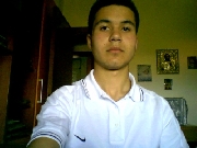 pippo4us