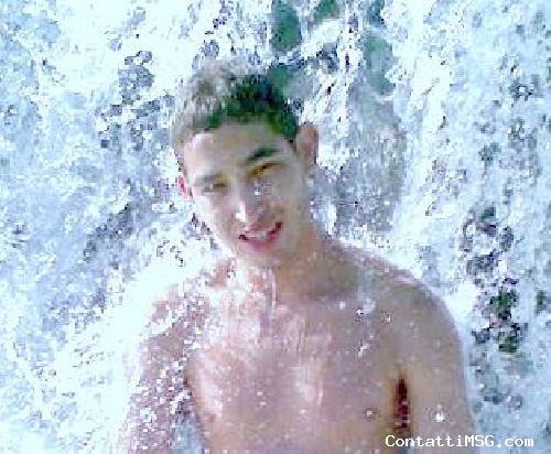 gemell - Pavia