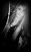 Selin su ContattiMSG.com