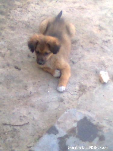 Aurelyobest - Trapani