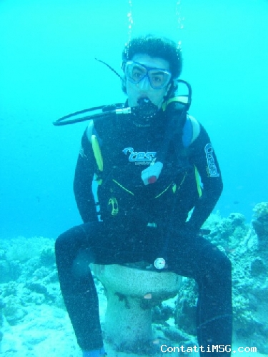 Puzzle22 - Alessandria