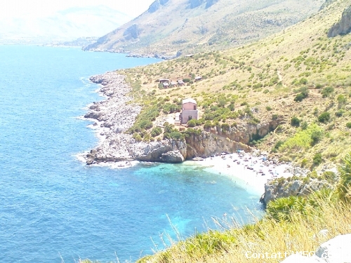 lionk - Palermo