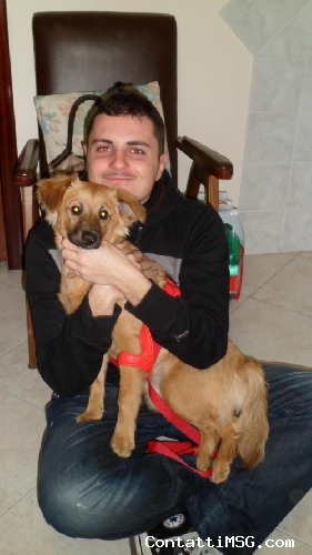 Mariolovefinder - Napoli