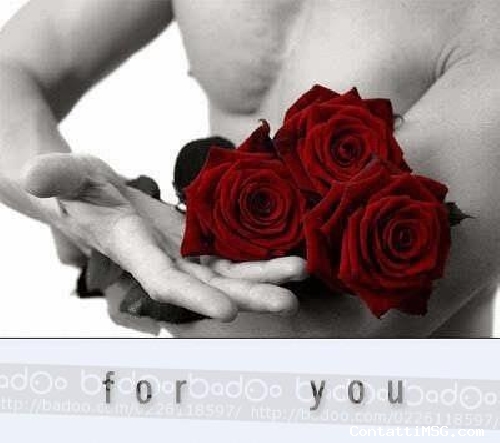 ailanderlander - Torino