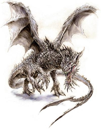 GIACOMO1890 - Brindisi