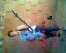 SalvoBass