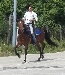 raffyiac su ContattiMSG.com