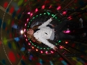 Foto Album 26943 di pikola_grande_bimba - 