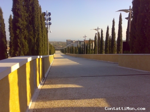 fulmine87 - Foggia