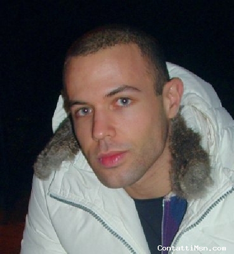 dynamicpulse - Ancona