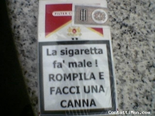 ray - Milano