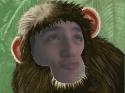 Foto Album 45292 di angelofcoca - 