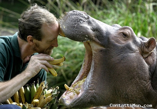 piccoloensi - Milano