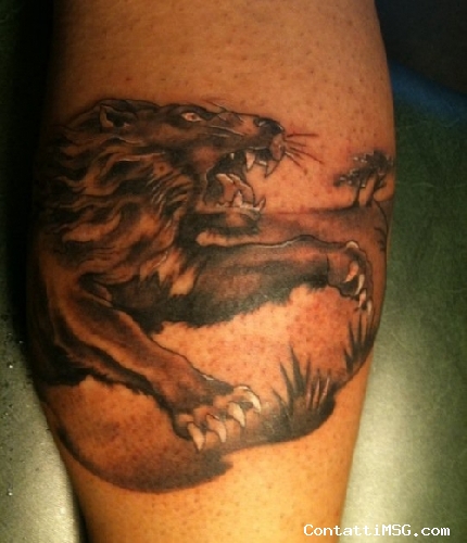 pavel10 - Roma