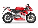 Foto Album 625252 di supermaxx - 