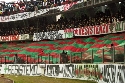 Foto Album 649892 di zionico - 