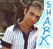 shark4ever