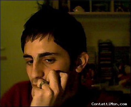 insanity_boy - Cosenza