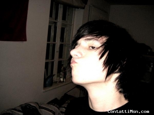 shane - Verona