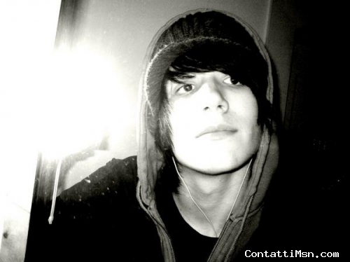 shane - Verona