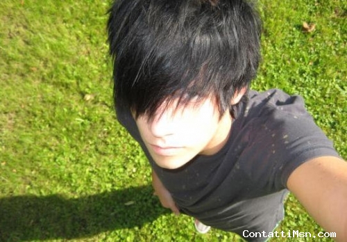 shane - Verona