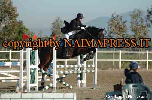 andry-91 - Roma