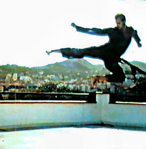 Ninja1971 - Padova